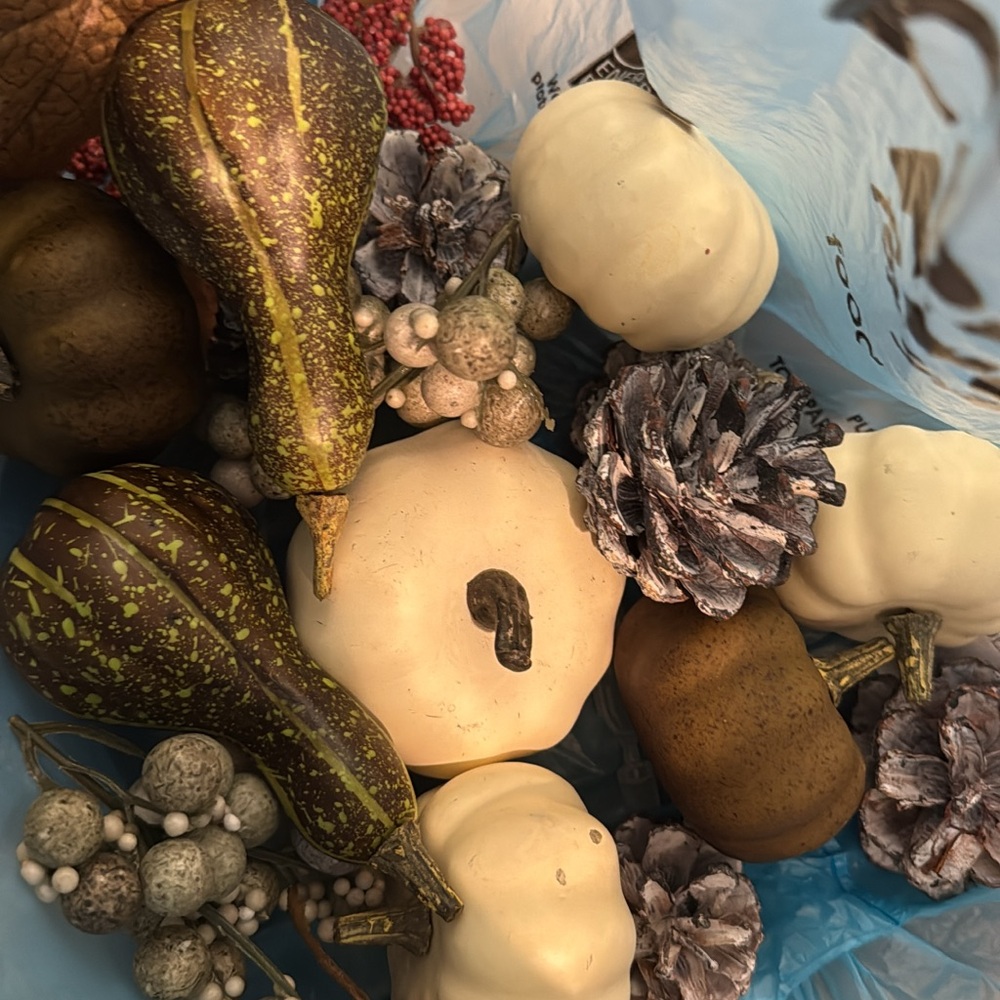 Decorative Fall Harvest Set